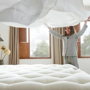 Bedding and Pillows